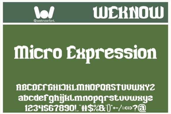 Micro Expression: A Slab Serif That Balances Play and Precision